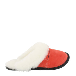 Women's Coral Suede and Sheepskin Mule Head Slippers
